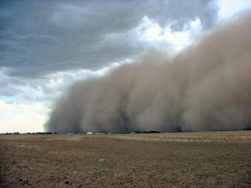 Dust Storm - This is an amazing picture of dust being blown across the fields. 