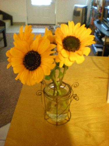 Sunflowers - Sunflowers from the Farmer's Market