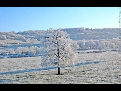 winter - winter season