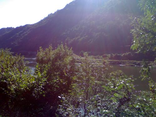 river - Olt river from romania , as seen from the train .
