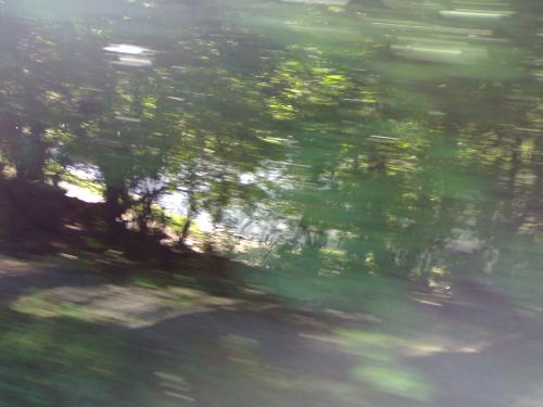 picture and the train - This picture it`s made from the 'speedy ' train . Isn`t excellent, but it`s a nice one.