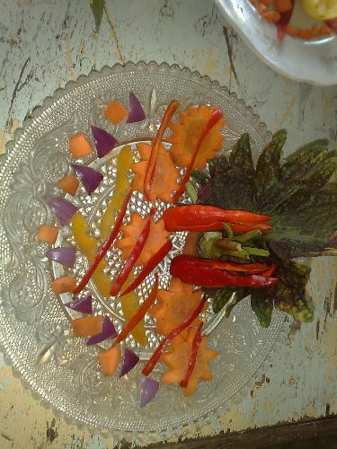 eating food - delicious food