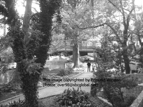elderly couple walking the Riverwalk - Taken with the same camera as my previous post (eye of the sun). This is an elderly couple walking the Riverwalk in San Antonio, TX.

I added a watermark so I can keep track of it easily. I have the full unedited image as well. 