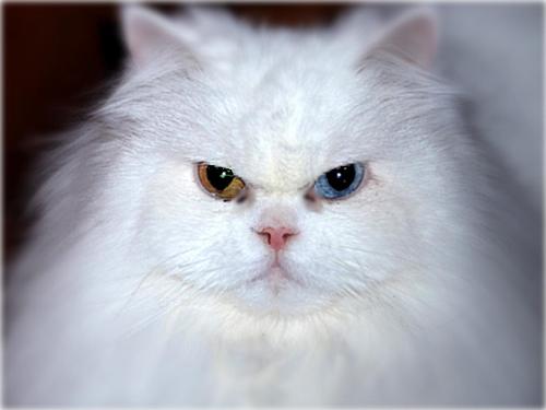 My baby! :)  - A picture of my beautiful girl!!!