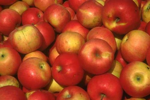 health - an apple a day keeps a doctor way.