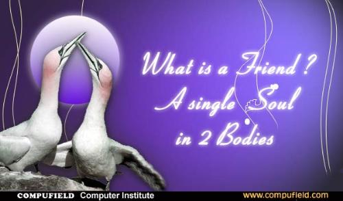 realtionship - relationship of a friend shown by the birds.