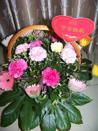 beautiful flower - flower2