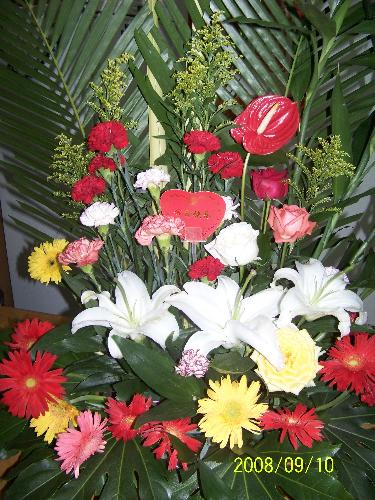 lovely flower  - beauty