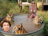 Tigers don't like rancid meat... - Photo shop picture of me with tigers in tub. Apparently they don't like Pelosi. Go figure.