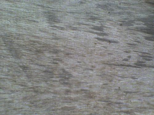 wood scratch - a wood scracth from tropical tree