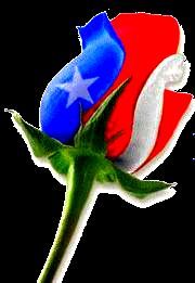 flwr child 2 - thr red white and blue