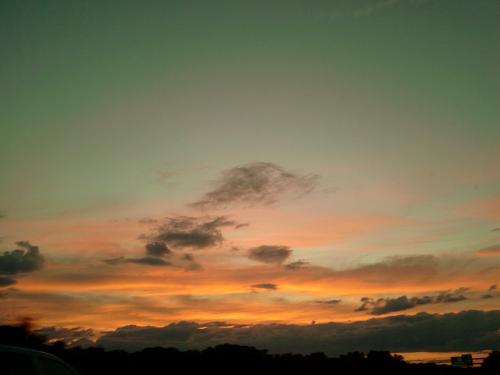 Greenish-Orange Skyline - Pic of a Greenish-Orange Skyline Over Some Trees