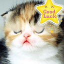 good luck - Good luck to you!