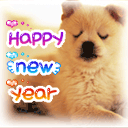 happy new year - happy new year ,everyone!