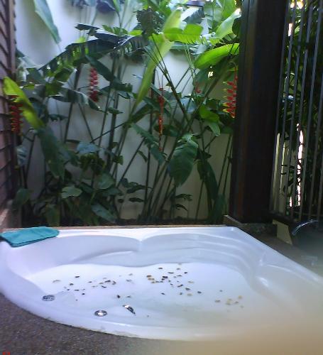 Jacuzzi Spa - I had a jacuzzi spa at Holiday Inn Hotel, Malacca.
It is full of roses petals with aromatherapy scents :)
