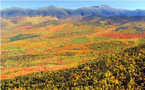 my valley in the fall - my valley in the fall.