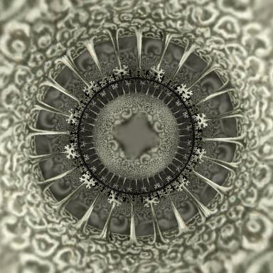 Artforms of Nature2 - From Ernst Haeckel 's book Artforms of Nature1