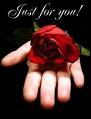 Rose - Rose is a romatic typical example, every one like the rose.