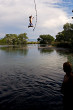 tarzan - the tarzan experience