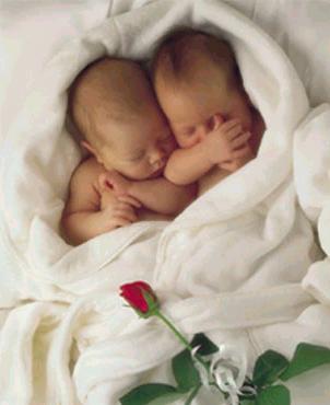 united siblings - The siblings are united since their birth which means THEY ARE TWINS