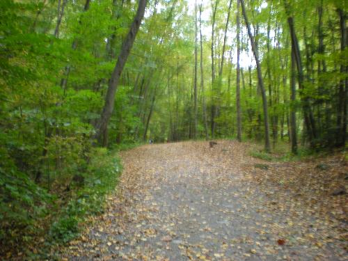 Walk in the fall - Walking to the falls, in the fall