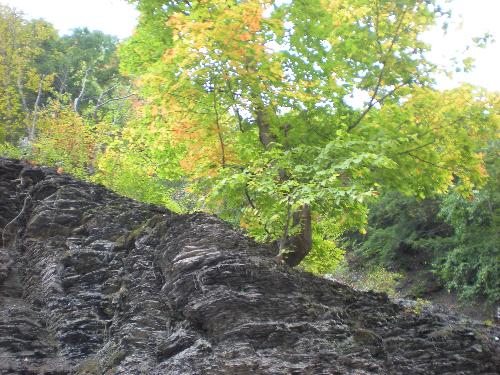 Rock - Looking up on our walk, at the cool rock!