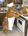 Funny pic - Very cute and funny pic