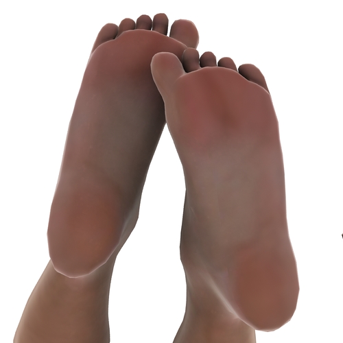 3D Bare Feet - The bare feet of DAZ 3D's Victoria 4