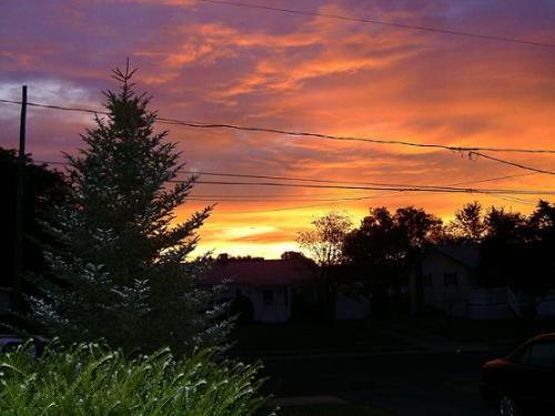 sunrise - the other morning i looked out the front door and saw this sunrise.