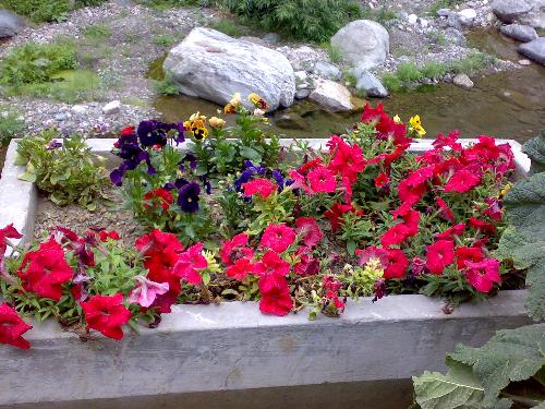 India, Uttaranchal,  - India, Uttaranchal, Kaichidham