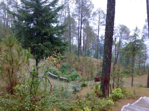 India, Uttaranchal,  - India, Uttaranchal, Kaushani