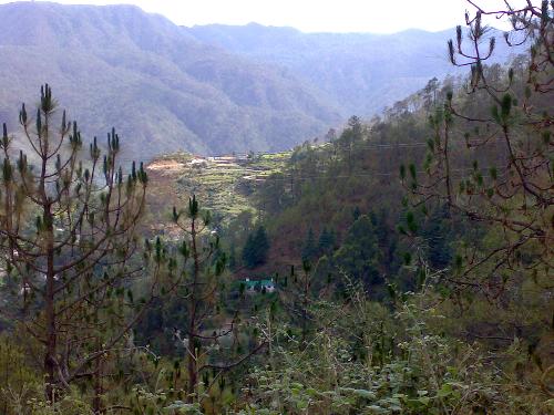 India, Uttaranchal,  - India, Uttaranchal, Kaushani