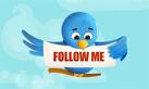 Twitter - a bird of Twitter-follow me