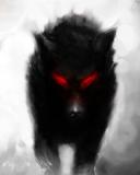 fox - a fox