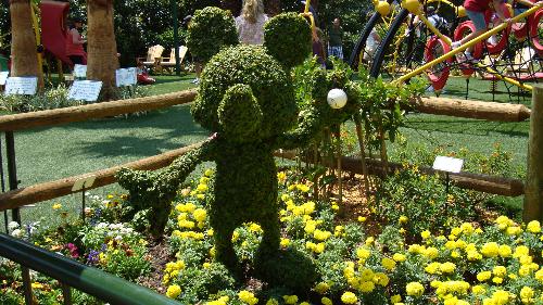 Disneyland decorations - Micky is playing catch! This is taken in Orlando, Florida, in April 2009.