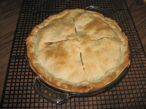 Homemade Apple Pie - My first try at this with my homegrown apples.