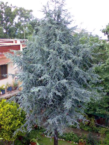 India Uttaranchal,  - India Uttaranchal, Ranikhet