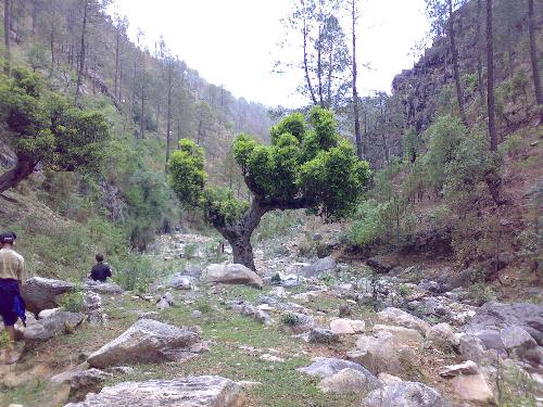 India Uttaranchal,  - India Uttaranchal, Rudradhari