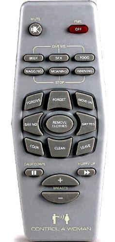 Remote Controller - Nowadays, many more items are remote control enabled.



