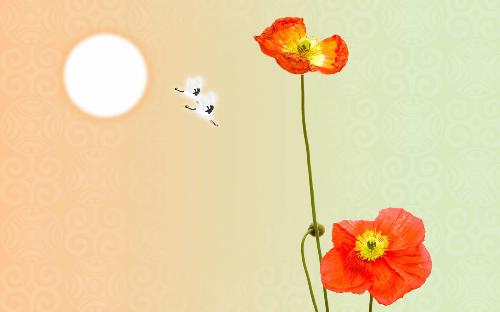 flower - red flower. birds are flying over sun.