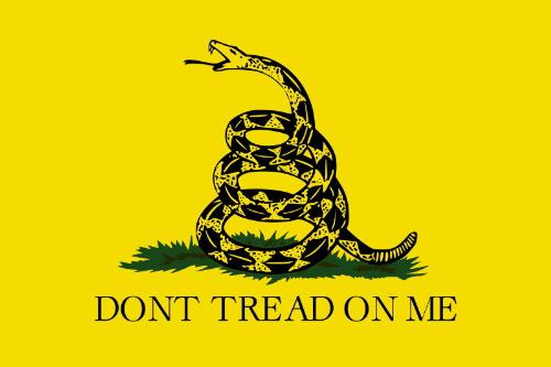 Don't Tread On Me - The Gadsden Flag, flown in the American Civil War. A symbol to show that if you leave me alone, we can live in mutual neutrality, but cross us and we will fight back.