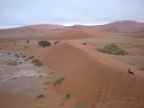 The Dunes, Sossusvlei, Namibia - Apparently these are the highest dunes in the world. I could only climb 50 meters. I did not want to roll down either because it takes 6 showers or more to get rid of the sand.