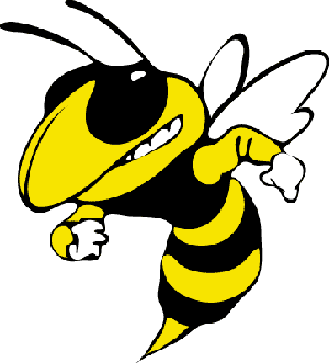 Leesburg High School Logo - This is the Leesburg Hogh School logo or mascot.