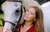 a pretty arabian - this is a picture of Rebel he is a purebred Arab gelding.