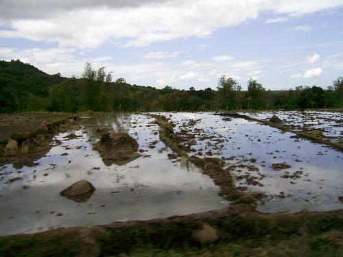 Farm - A farm in Murcia, Philippines