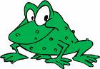 Toad a Frog - It can be confusing for people to understand that toads are indeed frogs, but not all frogs are toads.