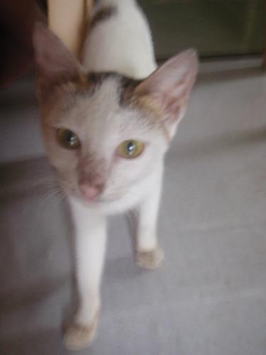 Caty is looking for you - I am looking for you and now you see me, now you don't..
