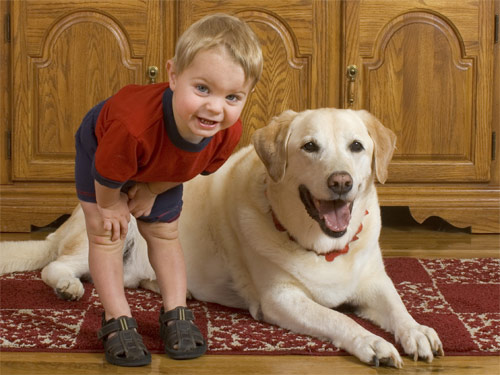 Pets and children - Pets and children becomes friends with each other and develop camaraderie of trust and care.
