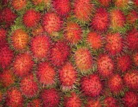 rambutan_1 - mix of rambutan