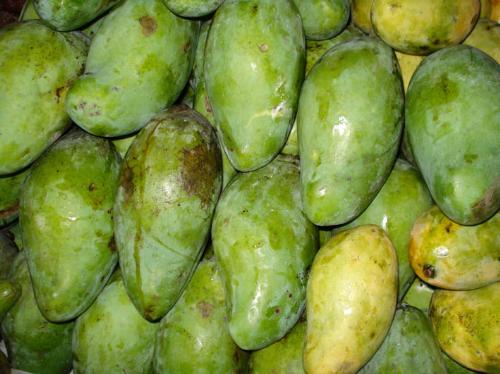 mangoes - mango one of kind tropical fruit